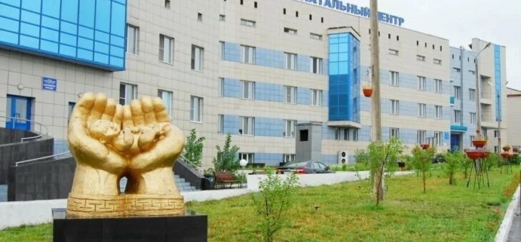 В Туве появился доступный способ выявления рисков хромосомных аномалий у плода