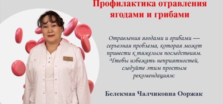 Летний лес зовёт на прогулку и сбор ягод и грибов: звенит солнце, пахнет свежей землёй и листьями