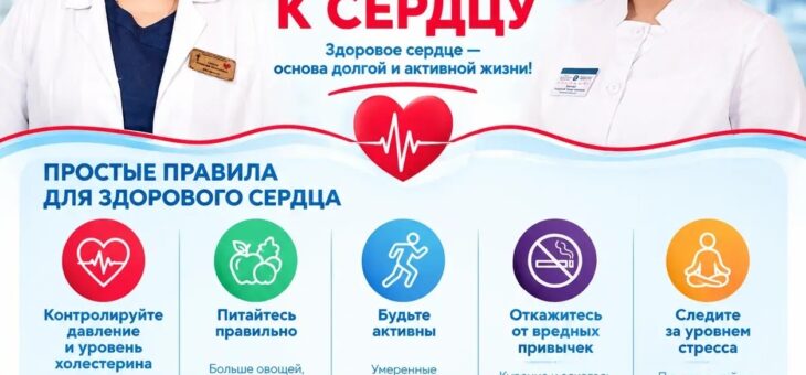 Сердце — это не просто орган